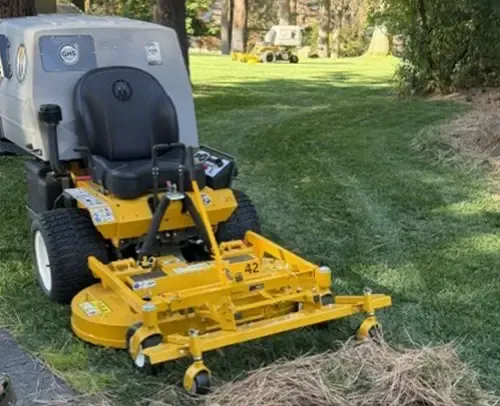 walker mower